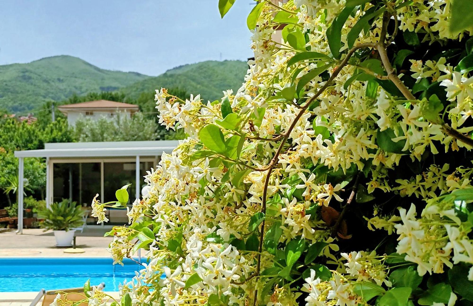 Bed and Breakfast La Residenza Del Marchesato Marano Marchesato Экстерьер фото